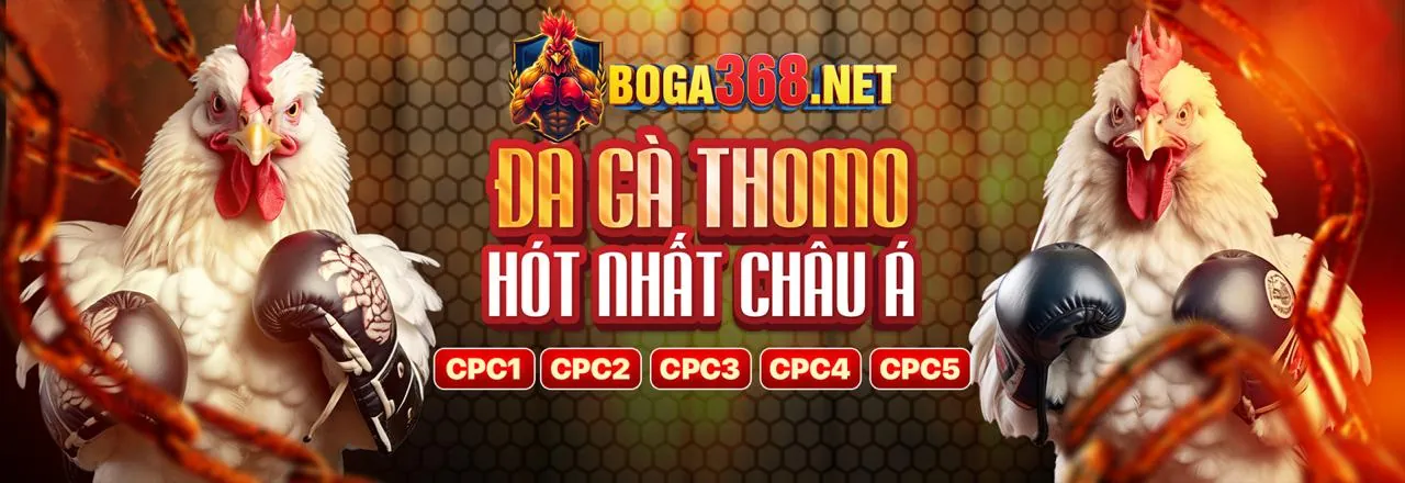 Hình ảnh minh họa kết luận về cờ bạc có trách nhiệm